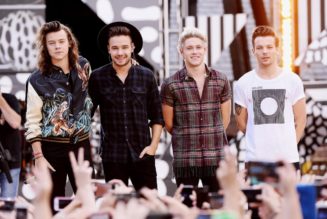 Will One Direction Ever Reunite? And Who Else Do We Want to See Back Together? A Wish List