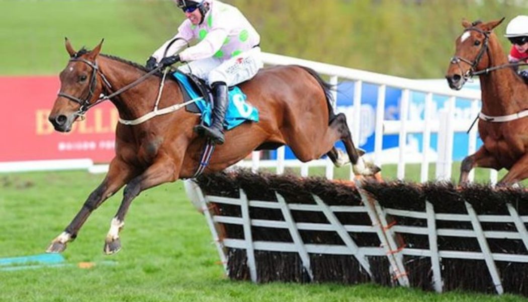 2022 Galway Hurdle Trends and Tips | Who Will Win Based On The Stats?