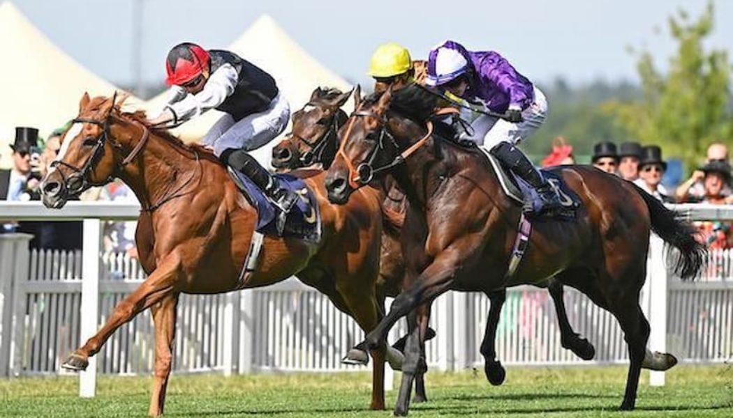 2022 Goodwood Cup Betting Tips and Big Race Trends