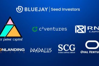 Asia-focused multi-currency stablecoin protocol, Bluejay Finance, raises $2.9M in funding