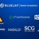 Asia-focused multi-currency stablecoin protocol, Bluejay Finance, raises $2.9M in funding