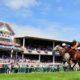 bet365 Lancashire Oaks Free Bet | £50 Haydock Park Races Betting Offer