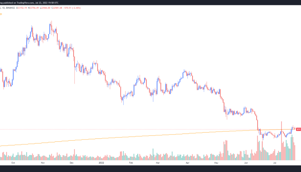 Bitcoin dips to $22.6K, risking further losses if it fails to hold above 200-week MA