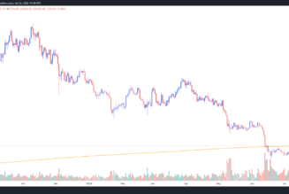 Bitcoin dips to $22.6K, risking further losses if it fails to hold above 200-week MA