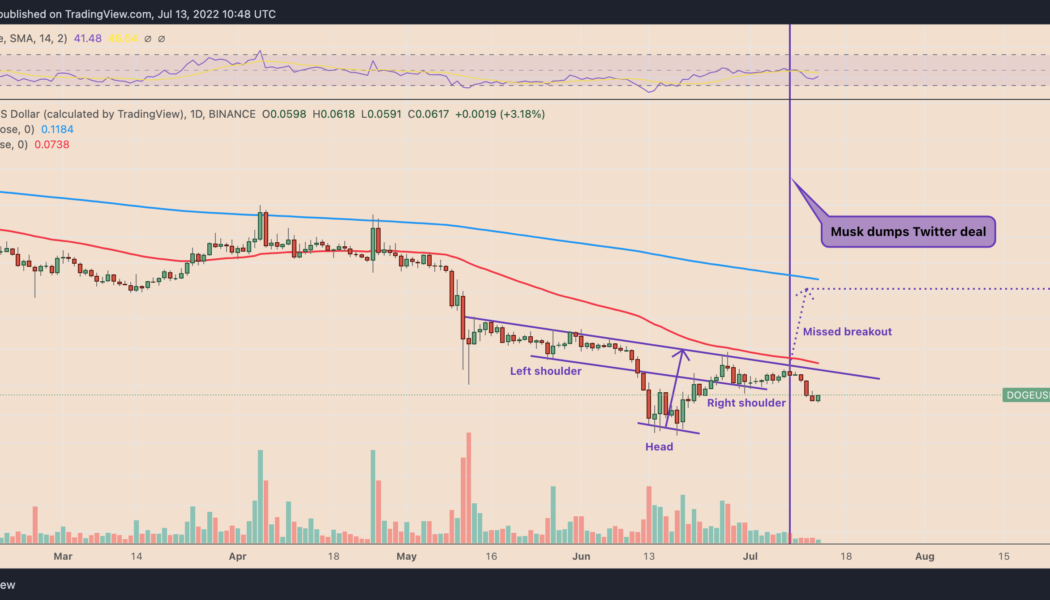 Dogecoin misses bullish target after Elon Musk snubs Twitter — what’s next for DOGE price?