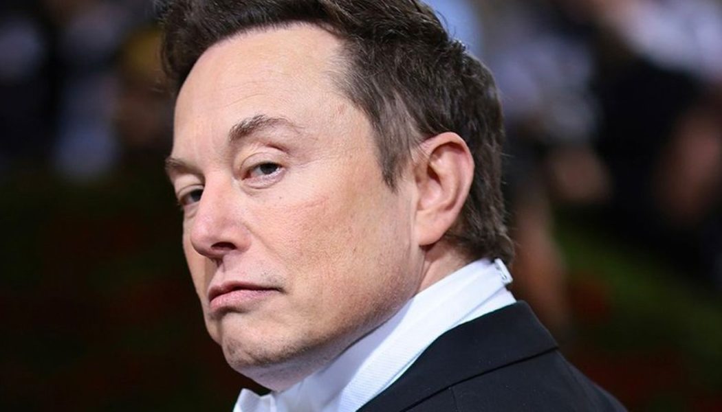 Elon Musk Allegedly Fathered Twins With Neuralink Executive Shivon Zilis