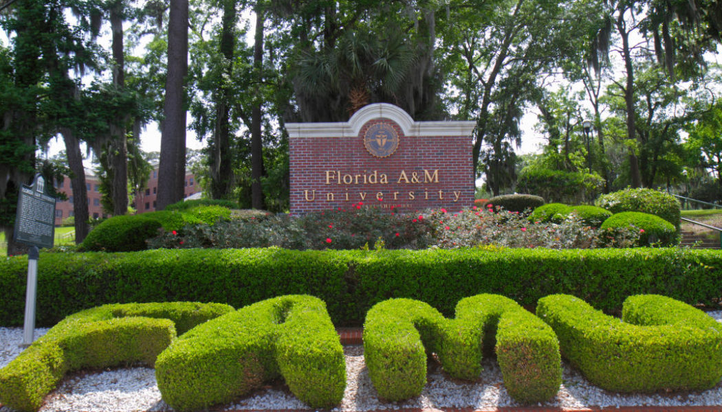 FAMU Twitter Collectively Appalled At Woman’s Ass-Out Graduation Picture