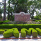 FAMU Twitter Collectively Appalled At Woman’s Ass-Out Graduation Picture