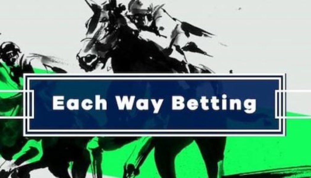 Horse Racing Each-way Tip Of The Day | Ffos Las Best Bet On Tuesday