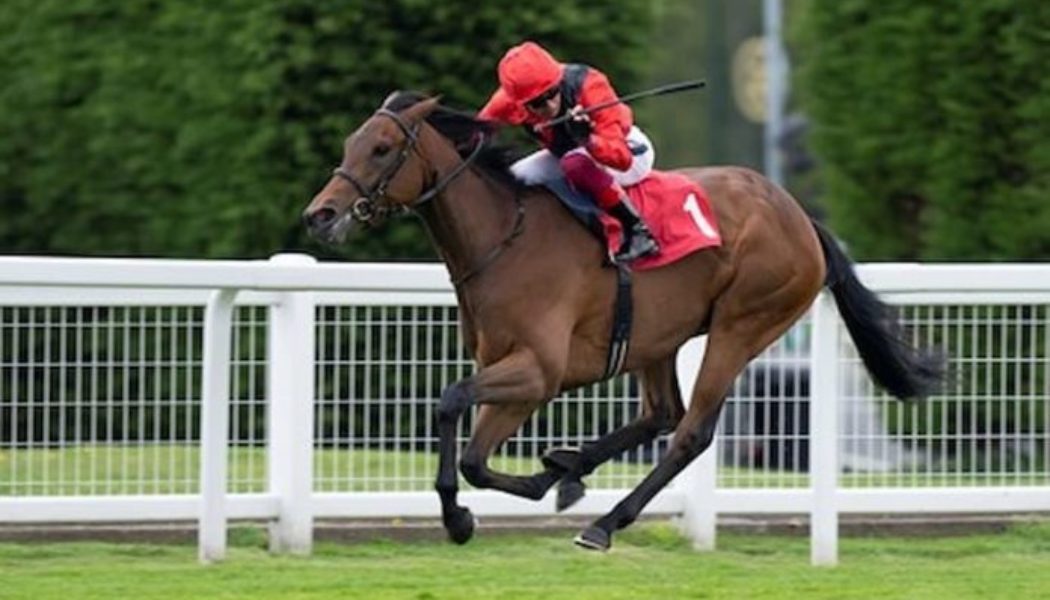 Irish Oaks 2022 Tips, Trends and Horses Winning Probability