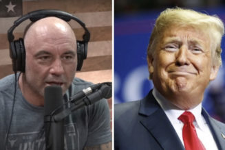 Joe Rogan Calls Donald Trump a “Man-Baby” on Adderall