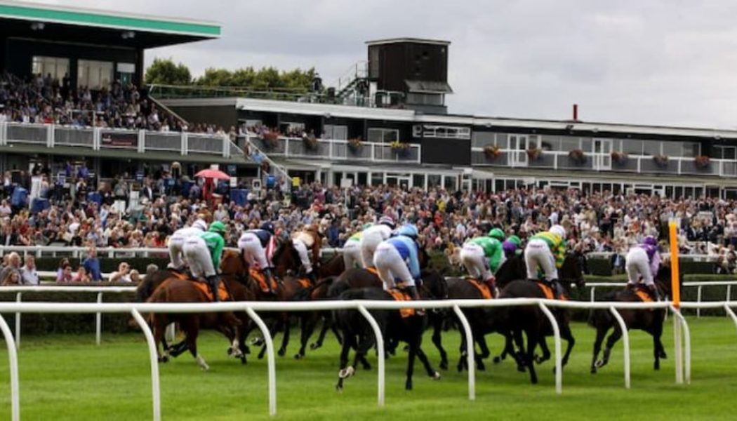 Market Rasen Summer Plate 2022 Tips, Trends and Winning Probability