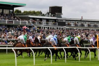 Market Rasen Summer Plate 2022 Tips, Trends and Winning Probability