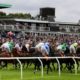 Market Rasen Summer Plate 2022 Tips, Trends and Winning Probability