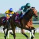 Nashwa Now Odds-on for Nassau Stakes Success at Glorious Goodwood