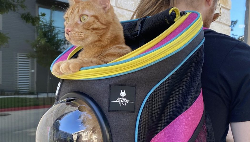 ‘Stray’ Taps Travel Cat for a Special Edition Cat Carrier Backpack