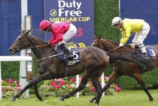 Ascot Shergar Cup 2022 Free Bets & Bookmaker Sign-Up Offers