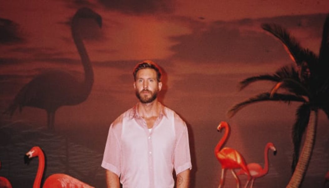 Calvin Harris Unites With 23 Collaborators On Sun-Kissed Sixth Album, “Funk Wav Bounces Vol. 2”