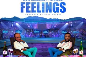 Don Malume – Feelings ft Skales