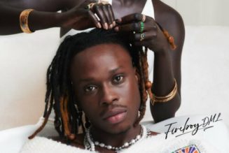 Fireboy DML – Timoti