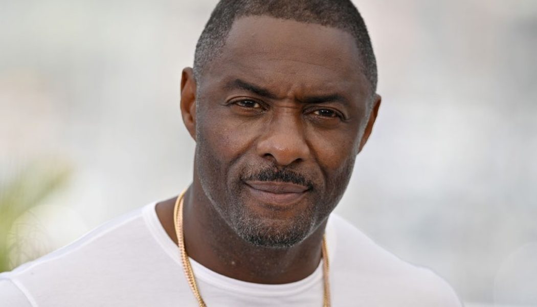 Idris Elba Is Open to Fighting Superman as Bloodsport