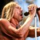 Iggy Pop, Descendents, Parquet Courts Lead Destination Chaos Festival