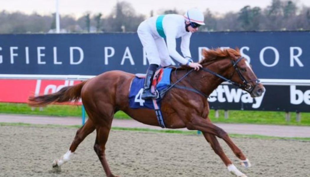 Lingfield Horse Racing Tips | ITV Racing League Best Bets Today