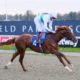 Lingfield Horse Racing Tips | ITV Racing League Best Bets Today