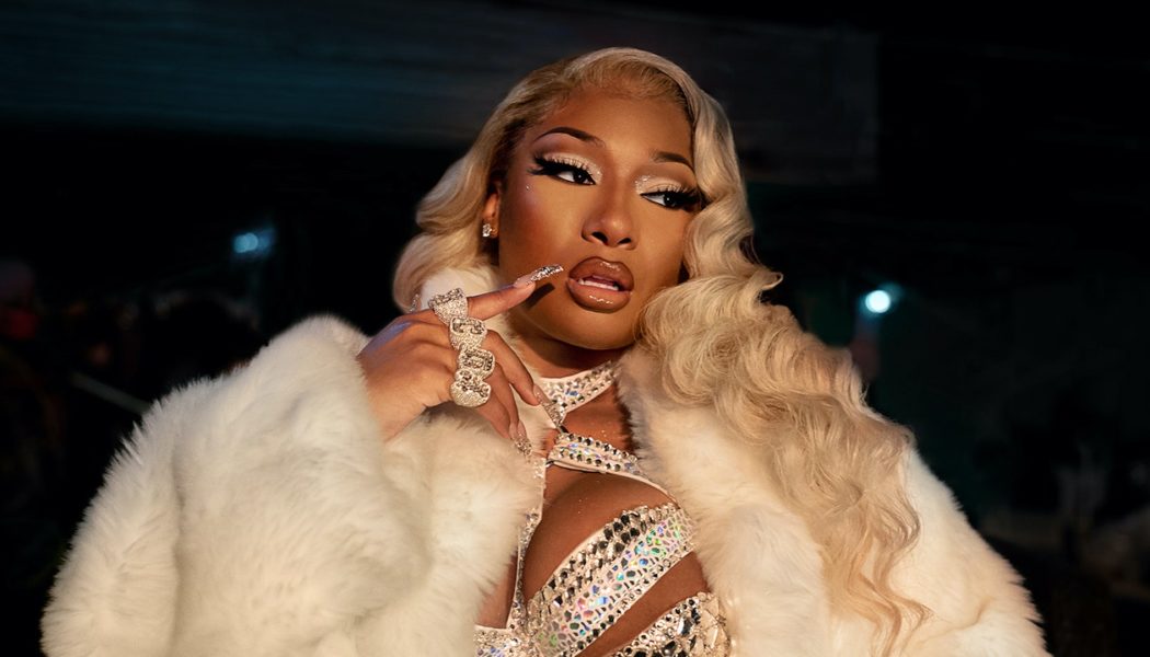 Megan Thee Stallion Guest Stars in P-Valley