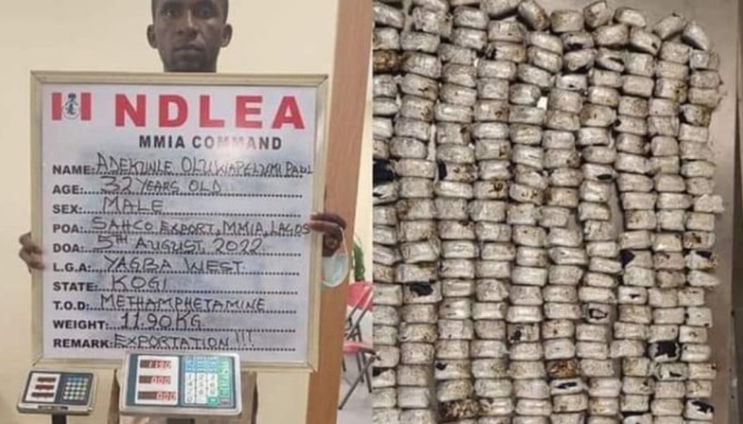 NDLEA uncovers 442 parcels of Crystal Meth in heads of smoked fish in Lagos