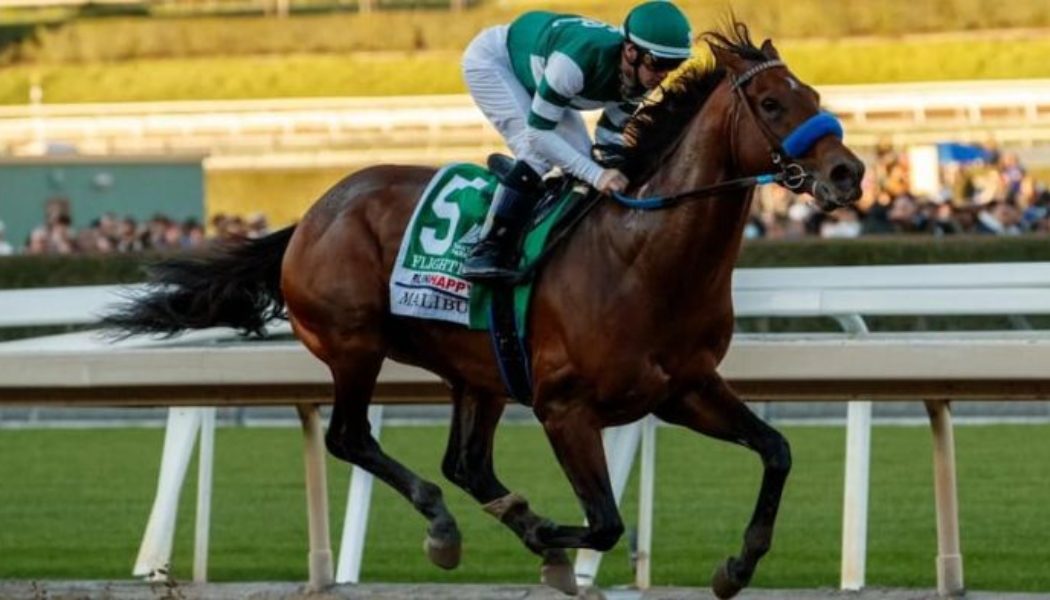 Pacific Classic 2022 Runners: Flightline Tops Six For Del Mar Race