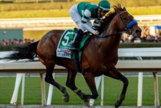 Pacific Classic 2022 Runners: Flightline Tops Six For Del Mar Race