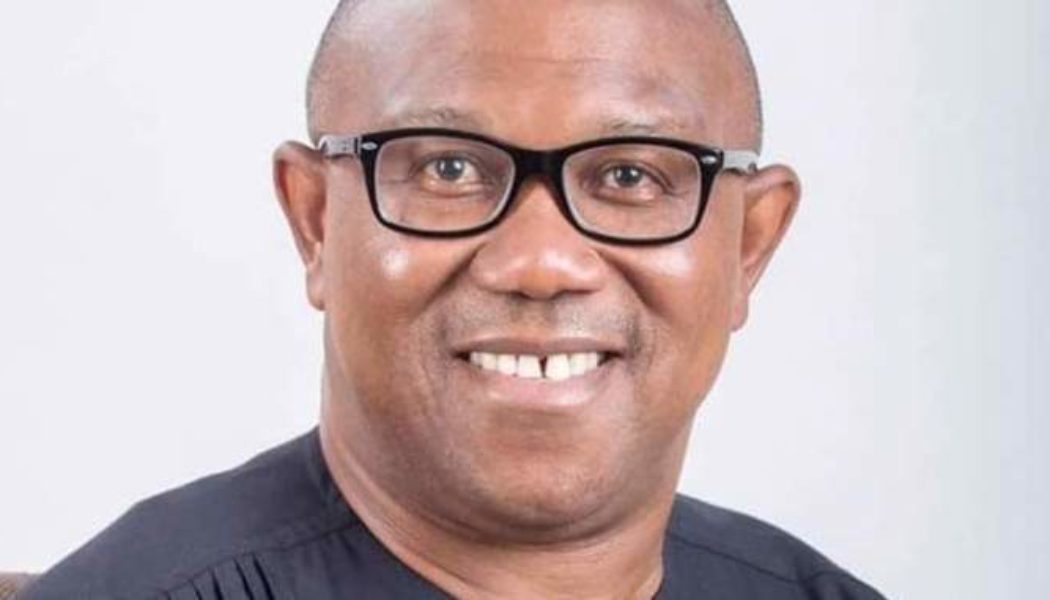 Peter Obi Promises Cuts In Cost Of Governance, Diaspora Voting