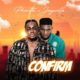 Phanta ft Jaywillz – Confirm