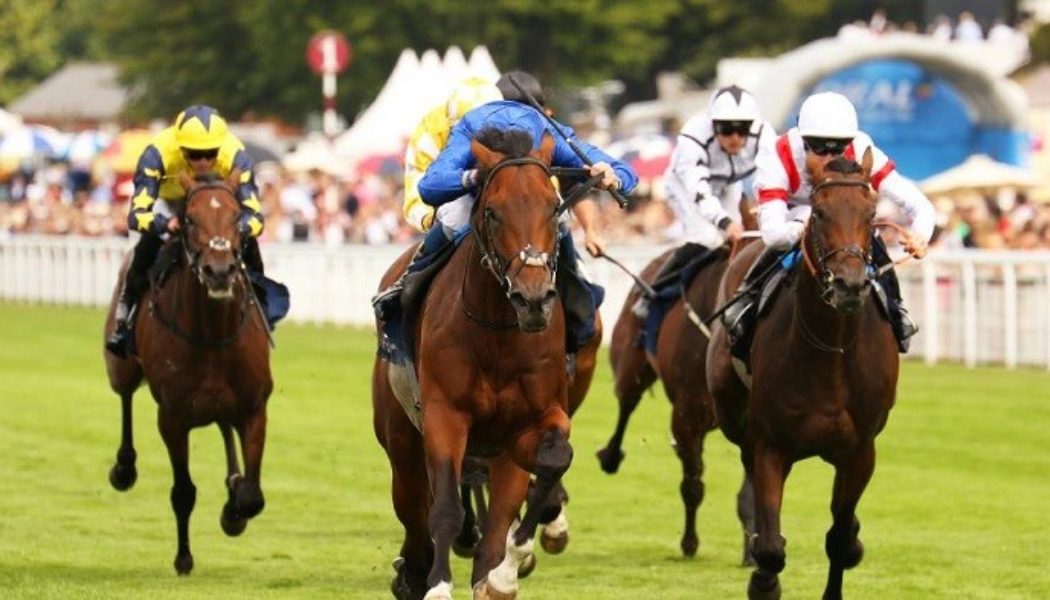 St Leger Entries Down to 13 from 27 with Godolphin Duo & O’Brien Quintet Still Engaged