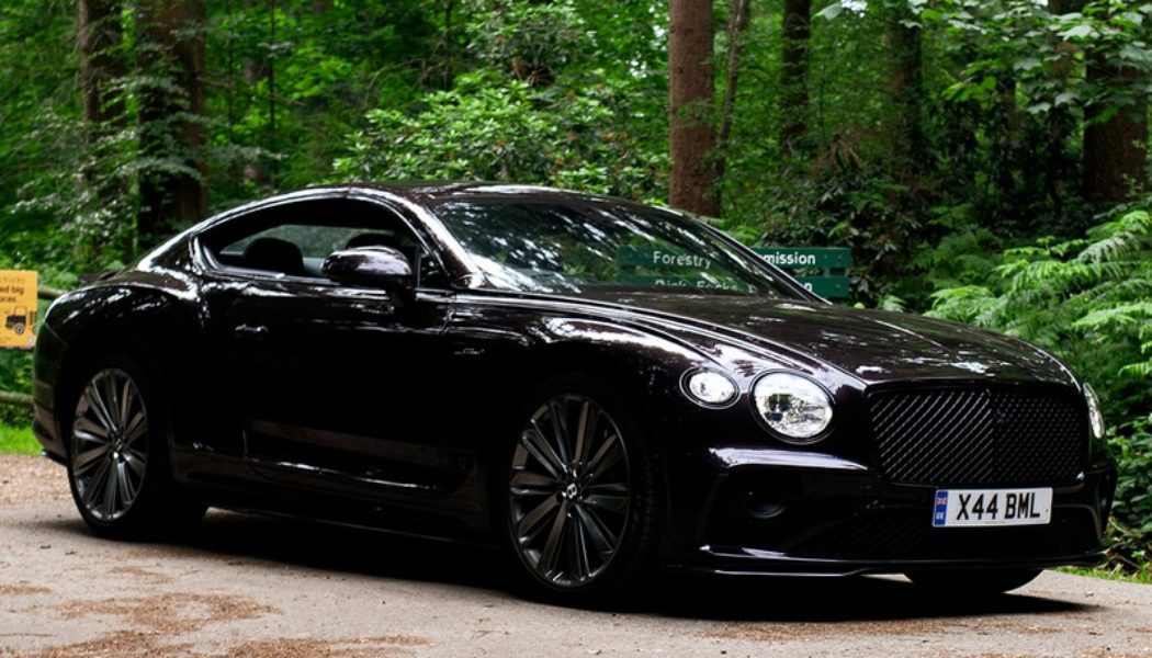 The Bentley Continental GT Speed Is Man’s Best Friend