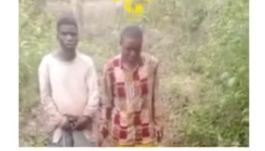 Two yahoo boys arrested for killing their friend for being richer than them in Osun State