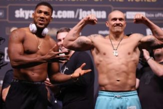 What Belts Are On The Line In Oleksandr Usyk vs Anthony Joshua 2?