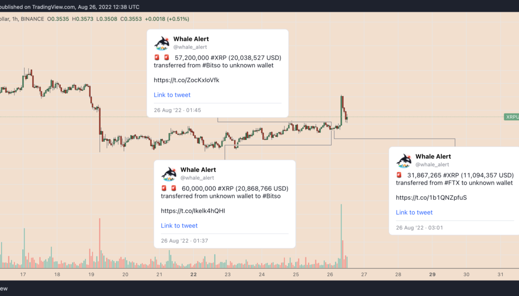 XRP price pumps and dumps amid mysterious $51M whale transfers — What’s next?