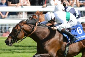 York ITV Racing 1-2-3 Tips & Trends Ebor Festival | Sat 20th Aug