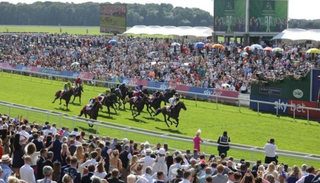 York Racing Free Bets & Ebor Festival Betting Offers On Saturday