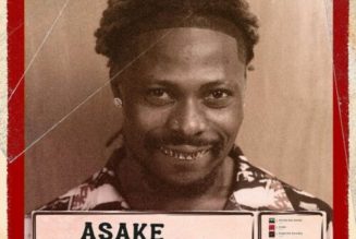 Asake – Dull