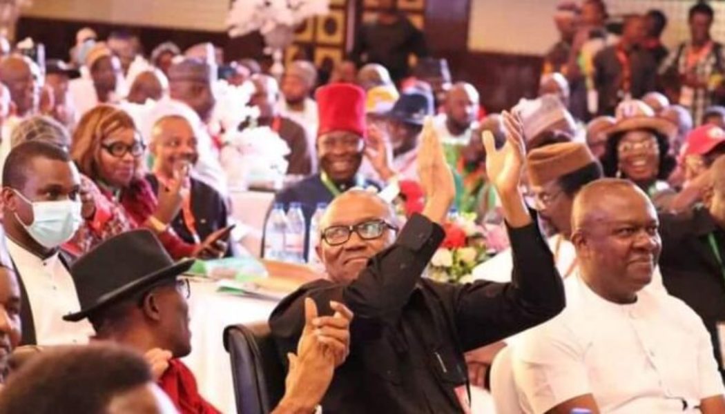 Both PDP and APC are worried and jealous of the ‘ stranger, Peter Obi ‘who wants to be king – Ogunlana