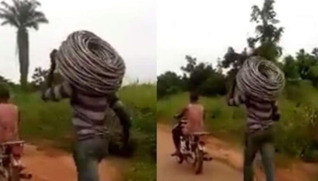 Cable thief made to run with a bike as punishment in Benin, Edo State