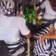 Church Women Spotted Relaxing with Beer at Drinking Joint in Benue