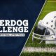 College Football Odds | Most Bet Teams in Week 2