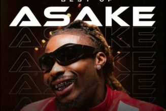 Dj Selex- Best Of Asake (Mixtape)