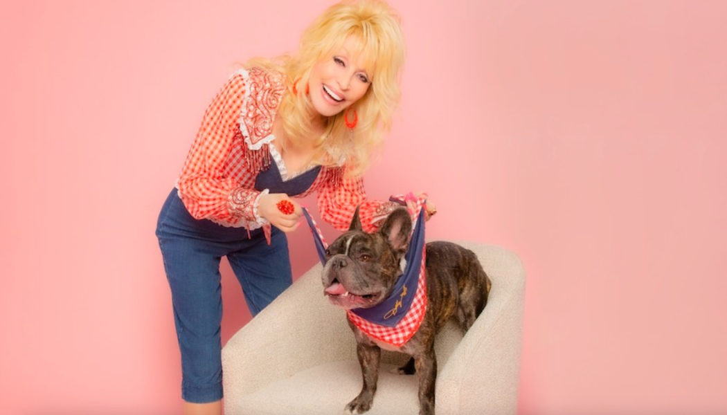 Dolly Parton Unveils Dog Accessory Line, Brilliantly Names It Doggy Parton