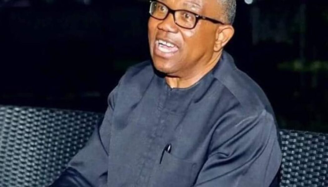 Emilokan: 2023 Election Must Not Be Based on ‘My Turn’ But Competency – Peter Obi