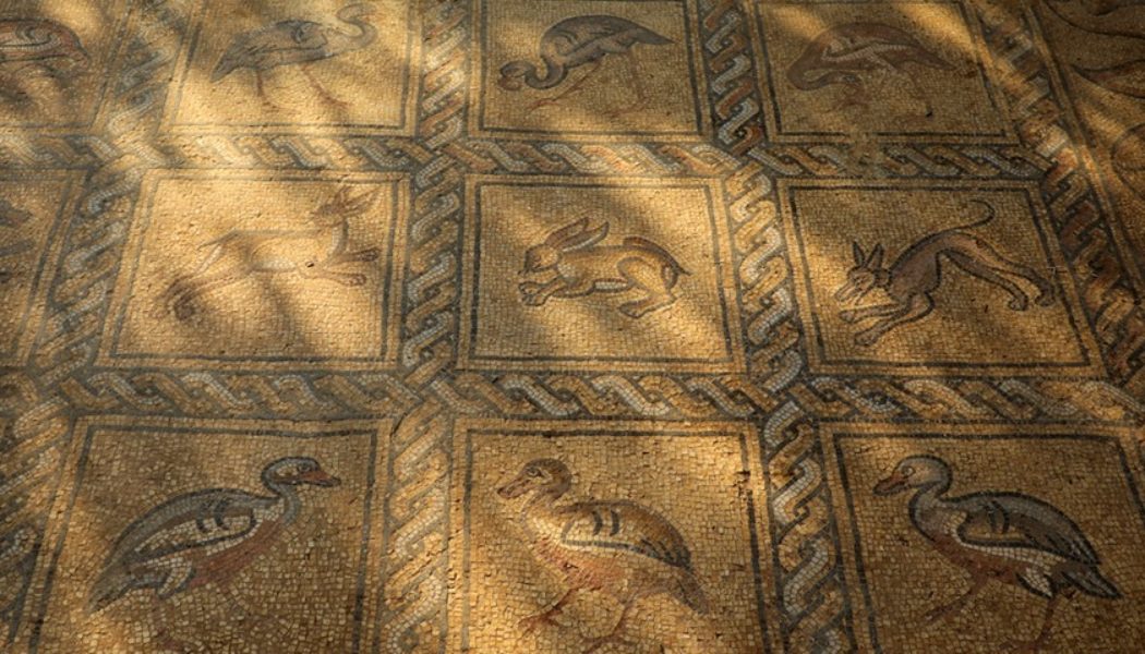 Gaza Farmer Accidentally Unearths Well-Preserved Byzantine Mosaic